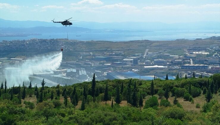 Kocaeli’de ormanlık alanda çıkan yangına müdahale ediliyor