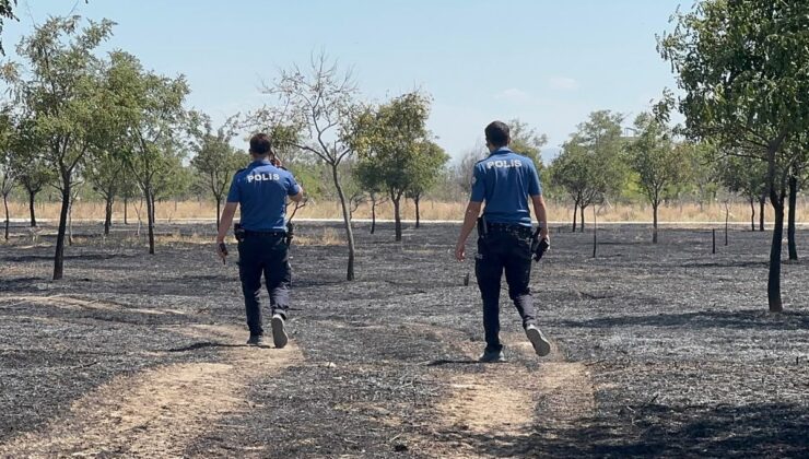 Konya’da ağaçlık alan yandı