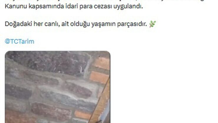 Manisa’da CITES kapsamındaki 61 yaban hayvanı ele geçirildi