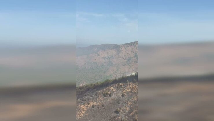 Marmaris Aksaz’daki orman yangını kontrol altına alındı