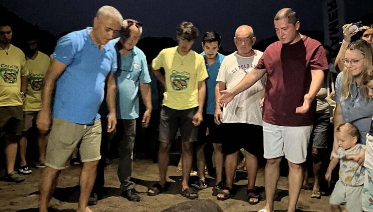 Marmaris’te tedavi edilen caretta caretta ‘Kaan-19’ doğaya salındı
