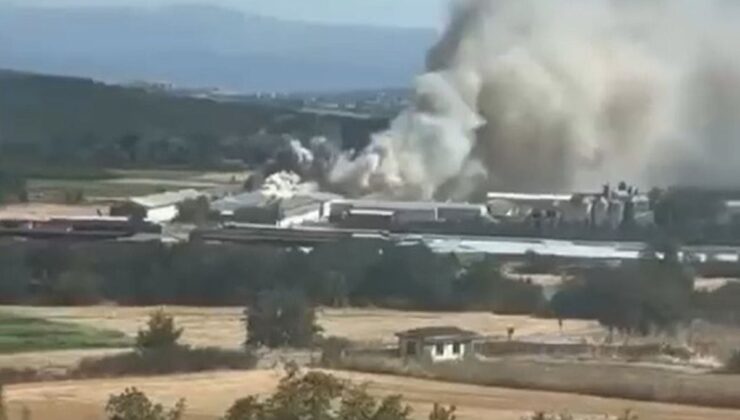 Mudanya’da Tavuk Çiftliğinde Yangın