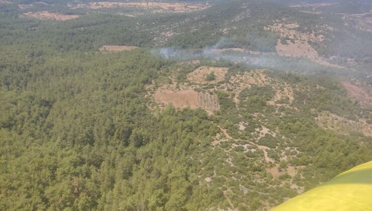 Muğla’da Orman Yangını Kontrol Altına Alındı