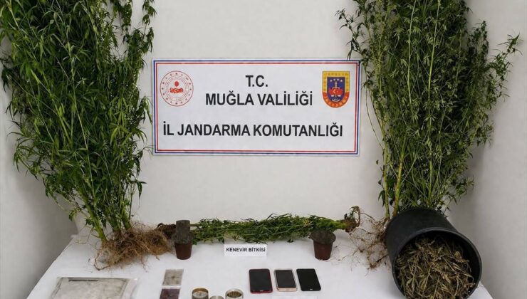 Muğla’da Uyuşturucu Operasyonu: 33 Tutuklama