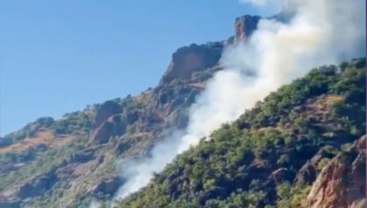 Munzur Vadisi’nde Orman Yangını: Ekipler Müdahale Ediyor