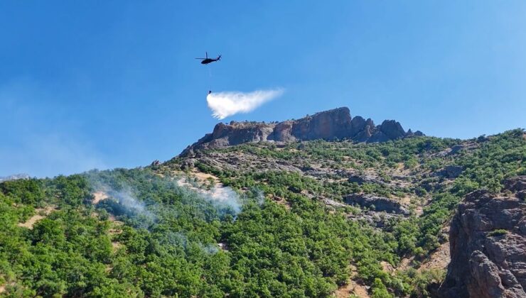 Munzur Vadisi’nde Orman Yangını Kontrol Altına Alındı