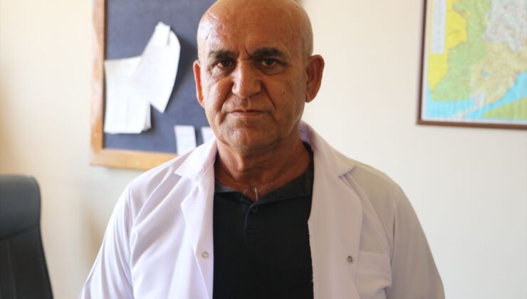 NKÜ’den iklim dostu 3 yeni tohum çeşidi