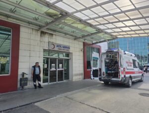 Ordu’da Doğadan Toplanan Mantar Zehirledi: Yaşlı Çift Hastanelik Oldu