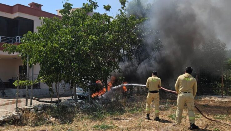 Park Halindeki Cipte Yangın Paniği