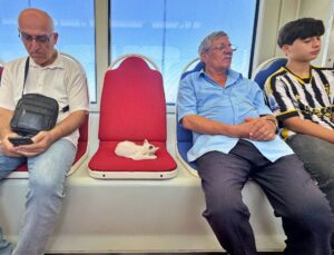 Samsun’da Tramvayda Uyuyan Kedi Yolcuları Isıttı
