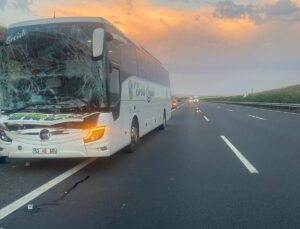 Şanlıurfa’da Otobüs Tıra Çarptı: 2 Yaralı