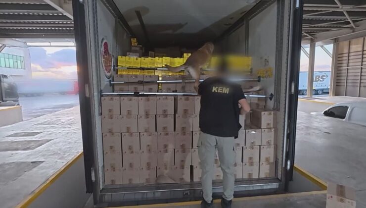 Silivri’de narkotik operasyonu: 376 kilo uyuşturucu ele geçirildi