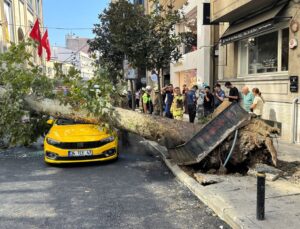 Şişli’de devrilen ağaç hasara yol açtı