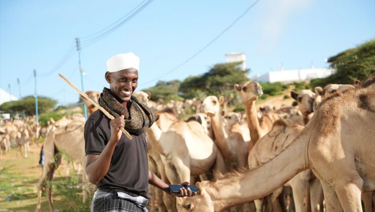 Somali’de Mevlid-i Nebi için 1538 deve kurban edilecek