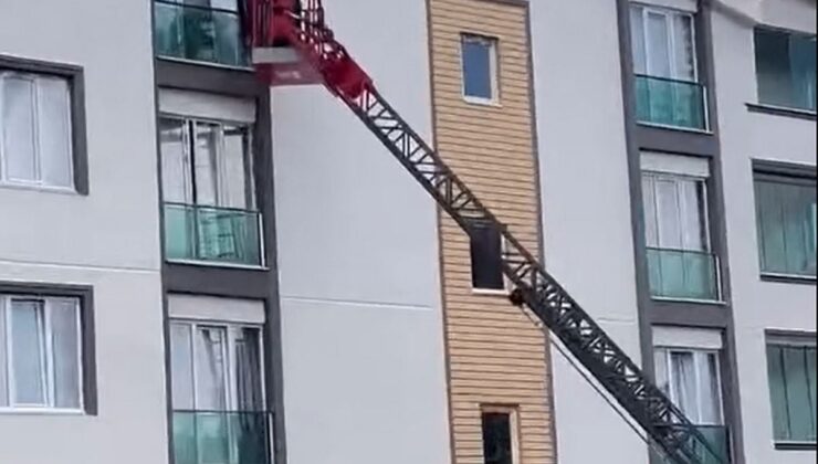 Tokat’ta Balkonda Sıkışan Güvercin Kurtarıldı