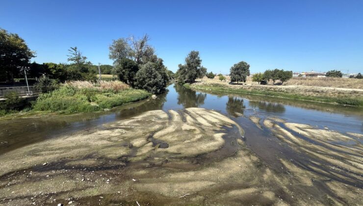Tunca Nehri’nde Debi 4 Metreküp/saniyeye Düştü, Kum Adacıkları Ortaya Çıktı