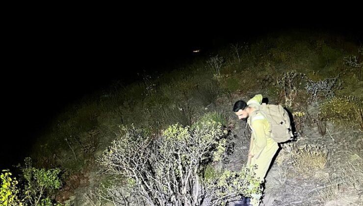 Yüksekova’da dağlık alanda çıkan yangın kontrol altına alındı