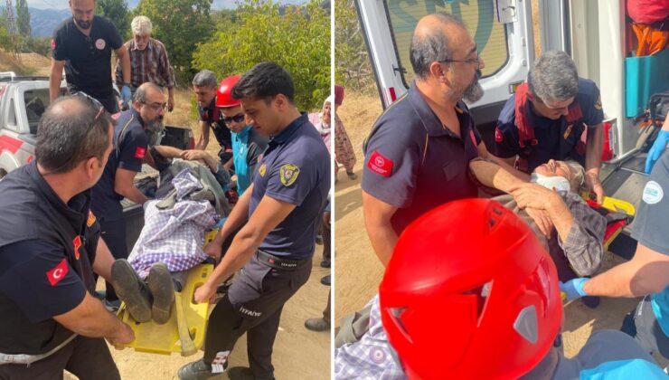 73 yaşındaki kadın ağaçtan düştü