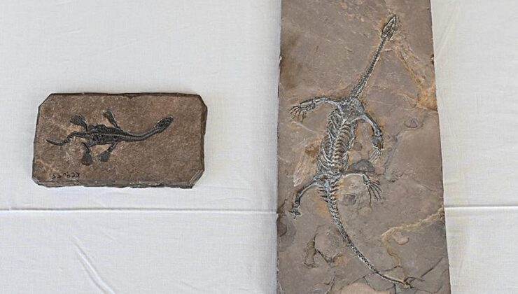 ABD, Çin’e ait 64 kültürel eser ve paleontolojik fosili iade etti
