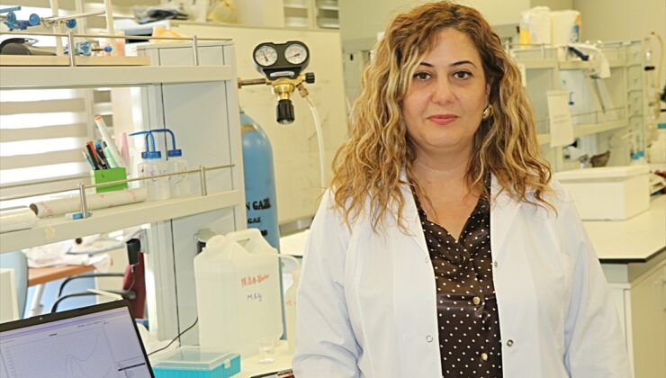 Akademisyenler yumurtalık kanserinin tespitini hızlandıracak test geliştirdi