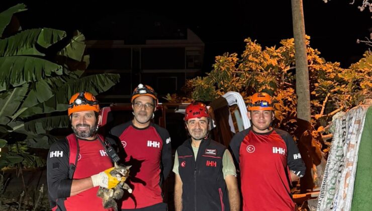 Alanya’da kuyuya düşen kedi kurtarıldı