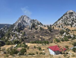 Alanya’da zirai yangın kontrol altında