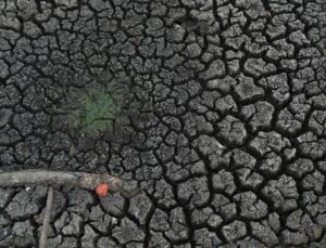 Albüm: Sri Lanka’da El Nino kaynaklı kuraklık 115.000’den fazla kişiyi olumsuz etkiledi