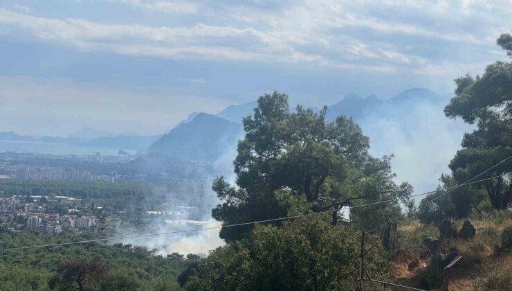 Antalya Kepez’de orman yangınına 2 uçak ve 4 helikopterle müdahale ediliyor