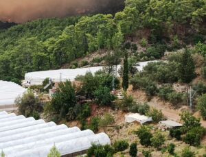 Antalya Kumluca’da orman yangını