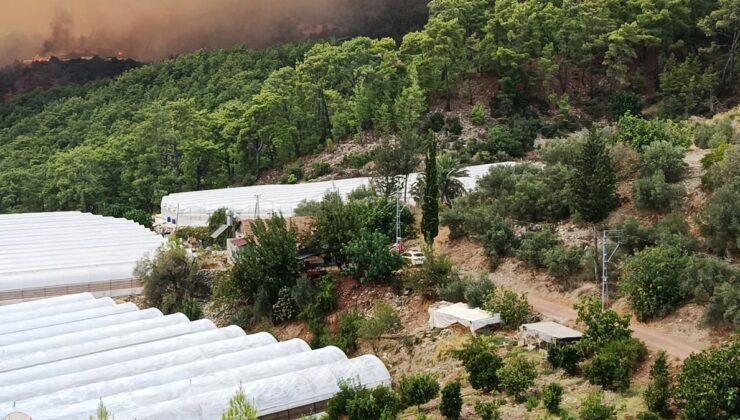 Antalya Kumluca’da orman yangını
