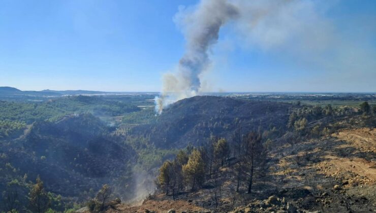 Antalya Serik’teki yangın kontrol altına alındı; 6 ev yandı
