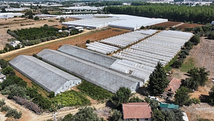 Antalya’da 200 bin dekarlık alandaki seralarda dönüşüm hamlesi