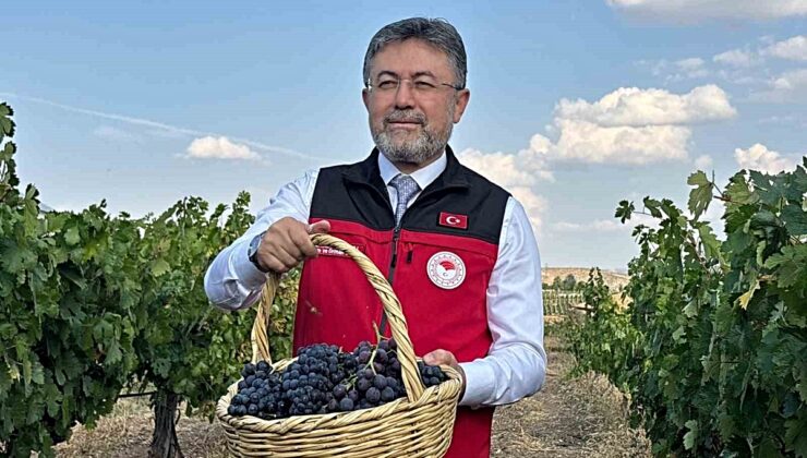 Bakan Yumaklı, bu yıl üzüm üretiminin 3 milyon 850 bin tona ulaşacağını açıkladı