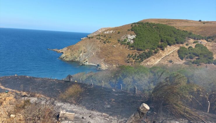 Balıkesir’de Arazi Yangını Kontrol Altına Alındı
