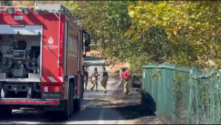 Beylikdüzü’nde otluk alanda çıkan yangın minibüse sıçradı