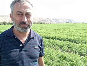 Beypazarı Ziraat Odası Başkanı, 612 bin 578 dekar alanda üretim yapıldığını bildirdi.