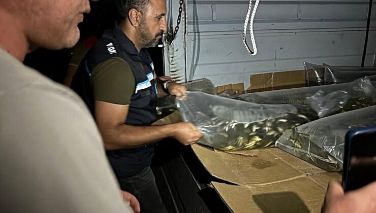 Bitlis’te su kaynakları 1 milyon 397 bin 500 yavru sazanla buluştu