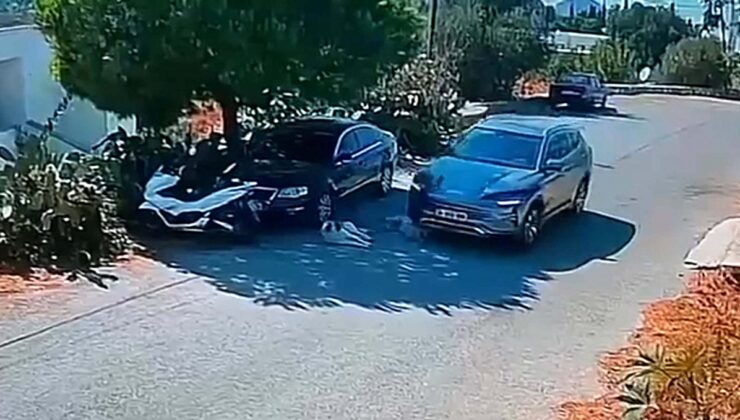 Bodrum’da 2 köpeğin üzerinden geçip giden sürücünün izi bulundu! Ankara’da olduğu tespit edildi