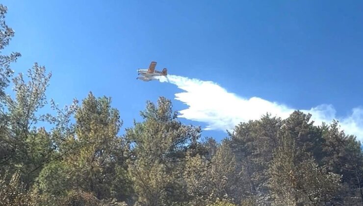 Burdur’da orman yangını