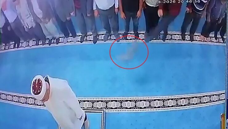 Camide Kediye Tekme Atan Şahıs Gözaltında