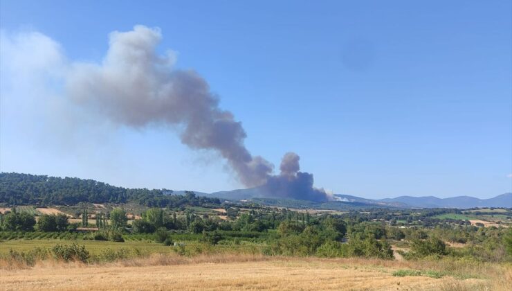 Çanakkale’de orman yangını kontrol altına alındı