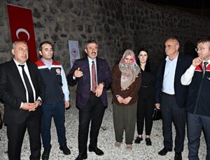 Cizre’de kadın yetiştiriciye 100 koyun teslim edildi, törene AK Parti vekili katıldı
