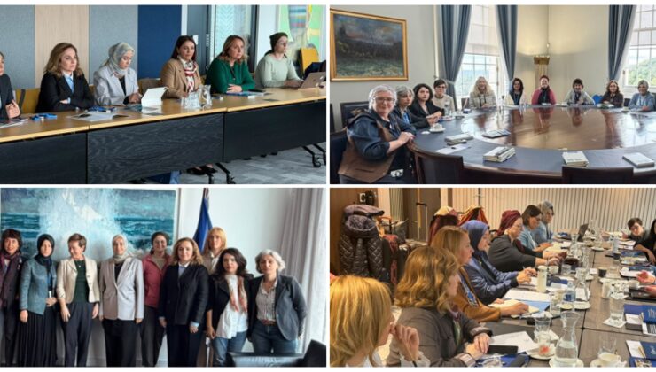 DEM Partili Doğan, Belfast ve Dublin’de kadınların çözüm sürecine katılımını görüştü