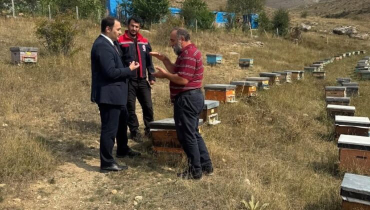 Demirözü Kaymakamı Ahat, Akyaka köyünde vatandaş ve arıcılarla buluştu