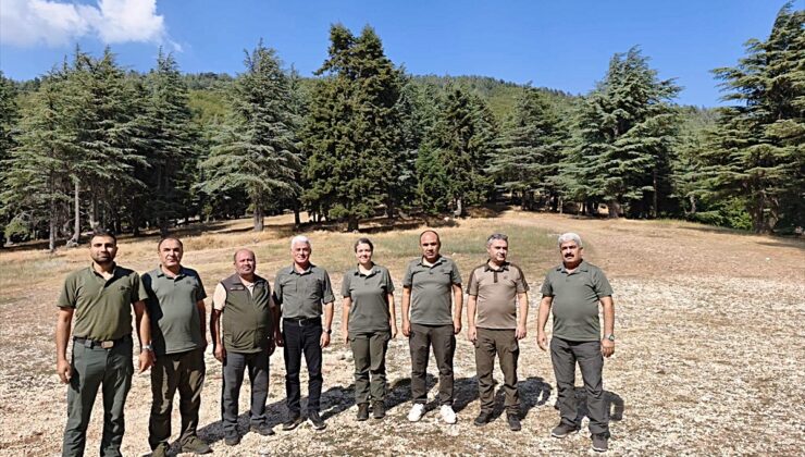DKMP Bölge Müdürü Gözel, Huzurlu Tabiat Parkı’nda incelemelerde bulundu