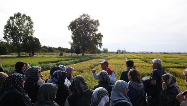 Dodurga’dan 45 kadın çiftçi Edirne ve Çanakkale’de 4 günlük inceleme gezisine katıldı
