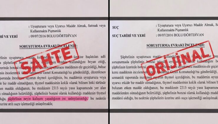 ‘Neyin kafasını yaşadığı anlaşılamadı’ ifadeli savcılık kararı iddiasına soruşturma
