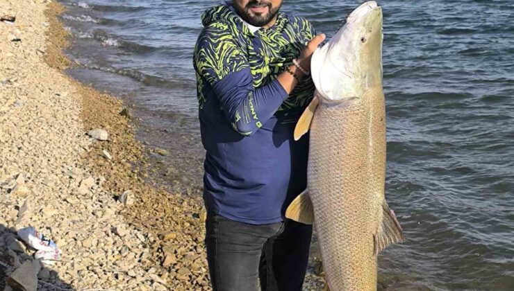 Elazığ’da Keban Baraj Gölü’nde balıkçı yaklaşık 30 kiloluk turnayı kıyıya çekti