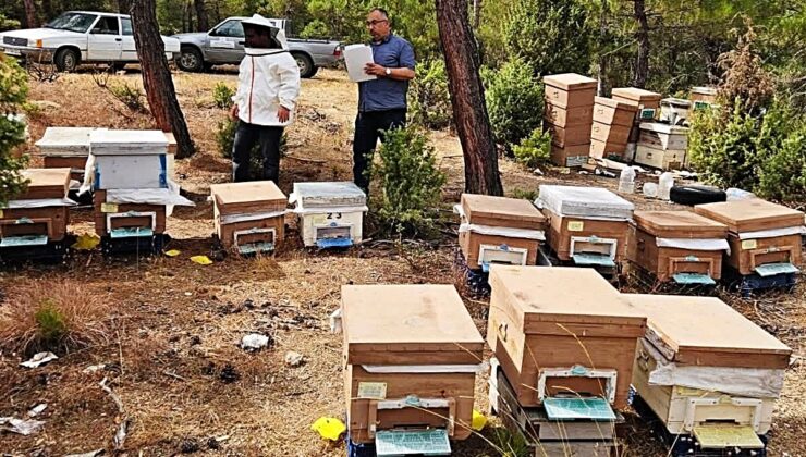 Emet İlçe Tarım ve Orman Müdürlüğü merkez ve Eğrigöz’de arılı kovan tespiti yaptı
