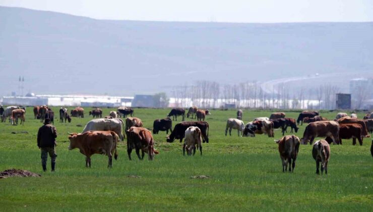 Erzurum’da KKYP kapsamında 329 proje 171,2 milyon TL hibe desteği aldı